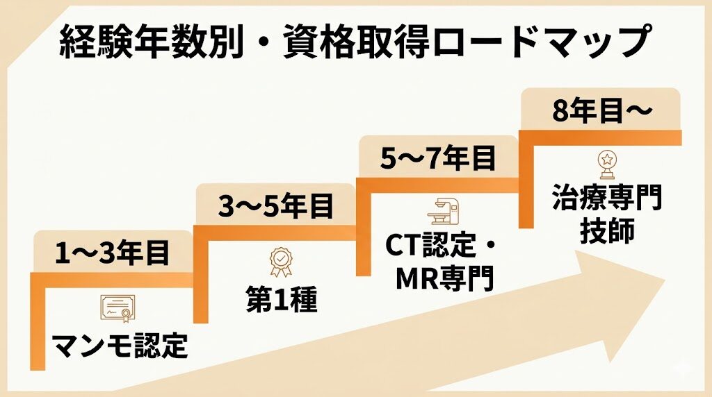 経験年数別・資格取得ロードマップ